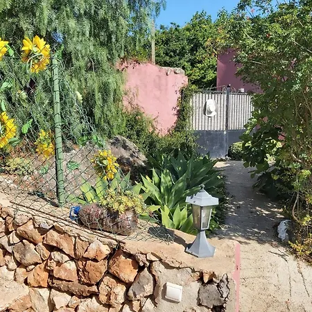 Bela Vista House - Quinta Amoreira Дом отдыха *